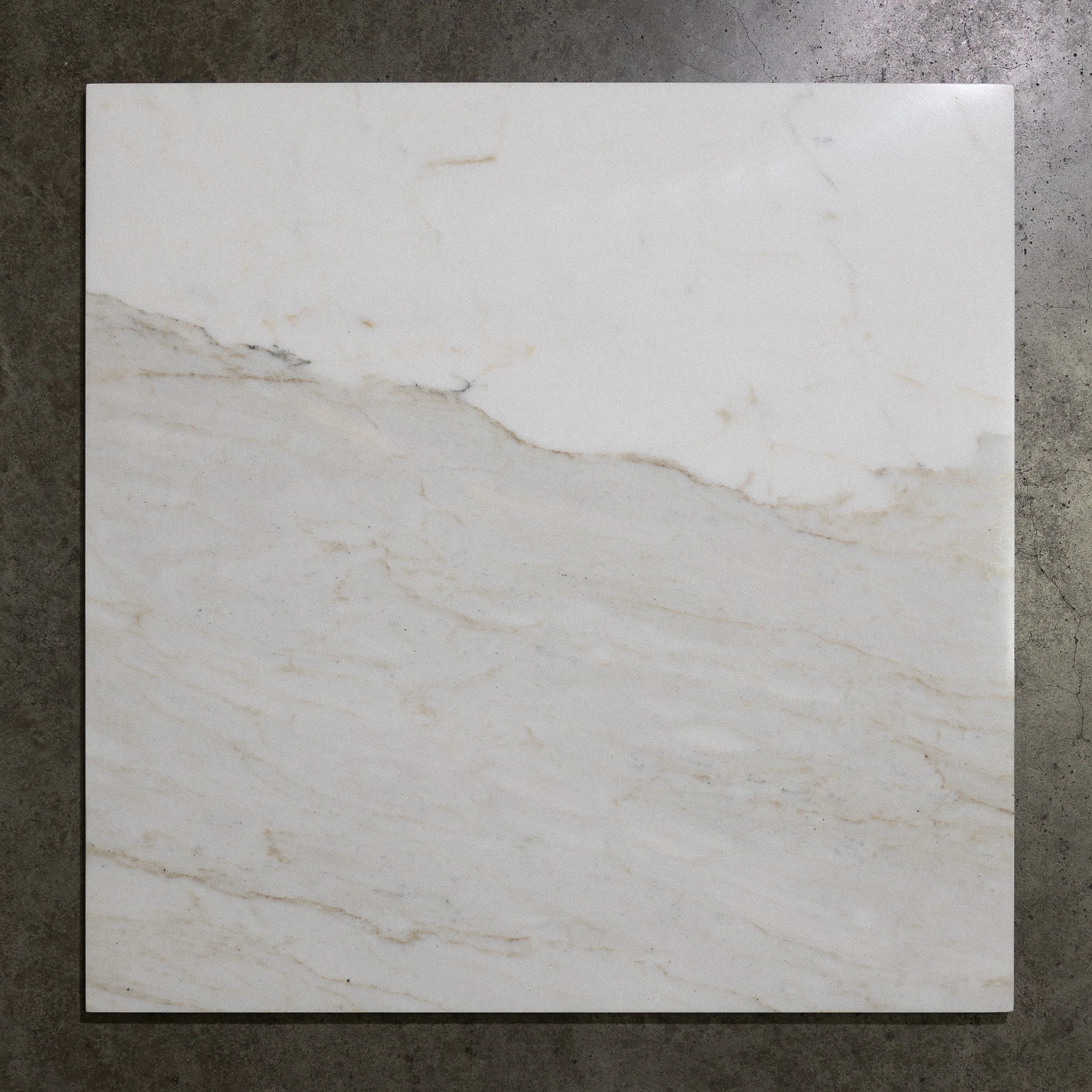 Calacatta Verde 24"x24"